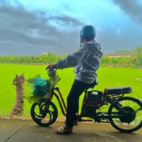 Đăng Khoa