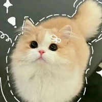 all(trừ ai cũng được)