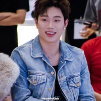 dương domic