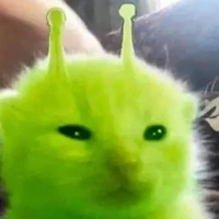 T/g bị khùm