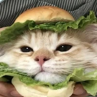 °Hệ thống 000°