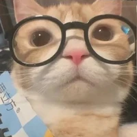 °Hệ thống 034(kính cận)°