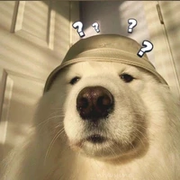 đã ngu còn đần _ bách gia tiên môn