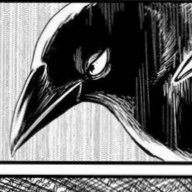 quạ đen của Odin