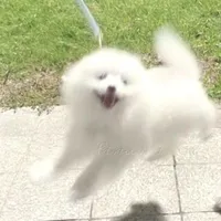 Tuiiiiii