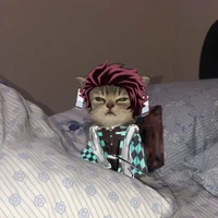 TÁC GIẢ LƯỜI LẮM