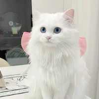 Nekomata/Bé Neko
