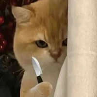 @satthuvotinh-ghét tình yêu