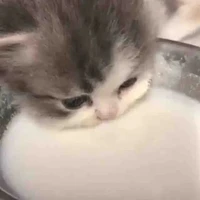 @keghetsua - sữa mãi đỉnh