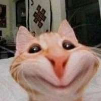 tg