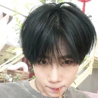 đỗ nam sơn