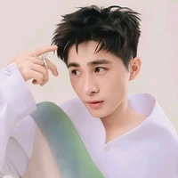lê hồng sơn