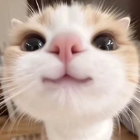 Bạn tác giả ❤^^