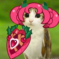 Hollyberry