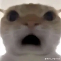 nhân vật bí ẩn