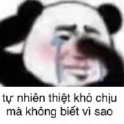tác giả