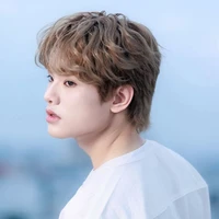 Bùi Trường Linh