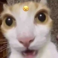 Tổ chức HAĐ(- ai thì trừ)