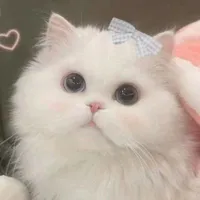 •HT-3011•Yuni•