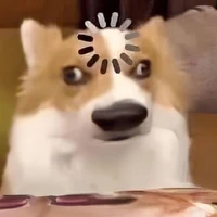 tg lười nhất thế giới
