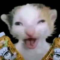Alo vũ à vũ
