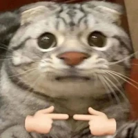 cả lớp