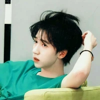 Hạ Tuấn Lâm