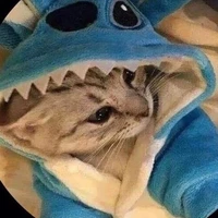 t/g