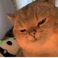 cân mọi nhân vật 🪝