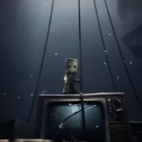 Mono