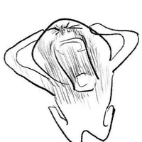 lạ người ( người lạ)