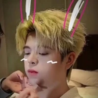 ǫᴜᴀɴɢ ᴀɴʜ 🐰