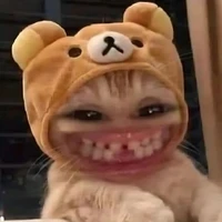Duy