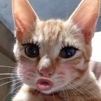 Tiến