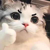 Thảo My