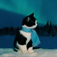 Tg bị flop 😔😭