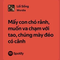 HoangHung.