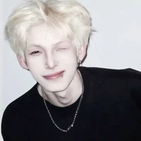 ♊︎ : 𝑮𝒆𝒎𝒊𝒏𝒊┇T.L Song Tử