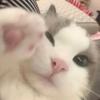 Tgiả_Bin aka hệ thống