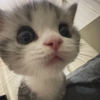 ⋆౨ৎ𝐤𝐢𝐨˚⟡˖ ࣪