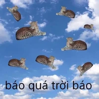 Trùm báo chúa=))))