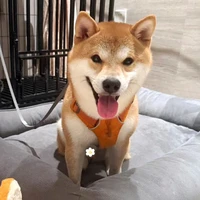 Hô An