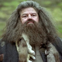 Rubeus Hagrid