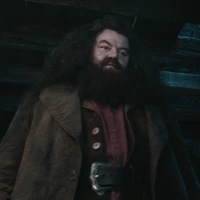 Hagrid