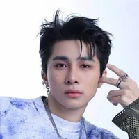 Lê Hồng Sơn/tổng tài