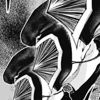 Shocker Combatants [•]