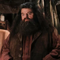Rubeus Hagrid