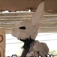 Error 404 sans[anh]