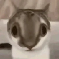 t/g