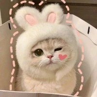 tác giả